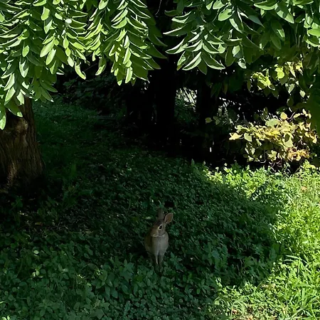 דירה Magie Tortona District-navigli מילאנו